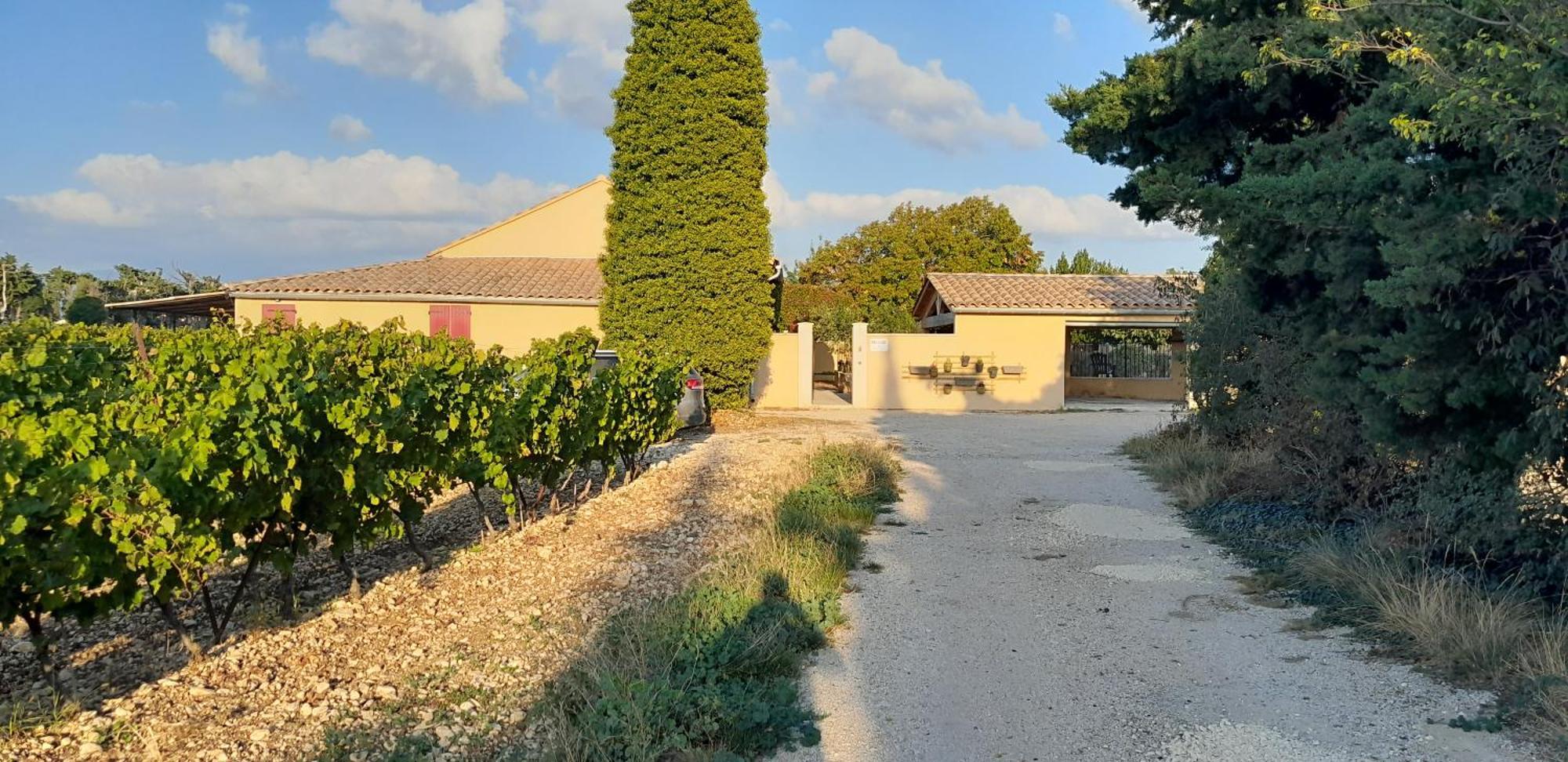 Mas La Gentille ,,, A La Campagne , Beautiful Outdoor , Swimming Pool , Pool House , Nice Green Garden , Bbq ,,, Only For You , Pour Passer Un Sejour Inoubliable Перн-ле-Фонтен Экстерьер фото
